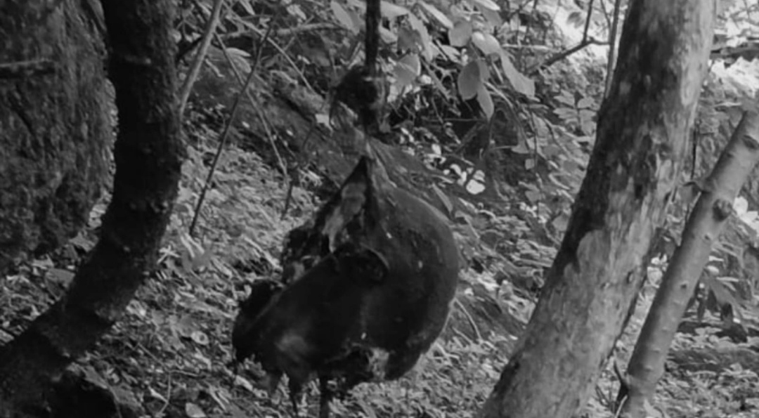 గుర్తుతెలియని మృతదేహం లభ్యం